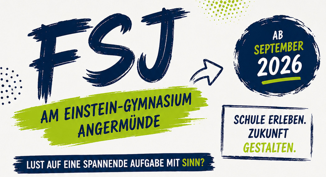 Flyer Einstein Bewerbung FSJ